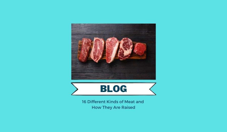 16 Different Kinds of Meat and How They Are Raised